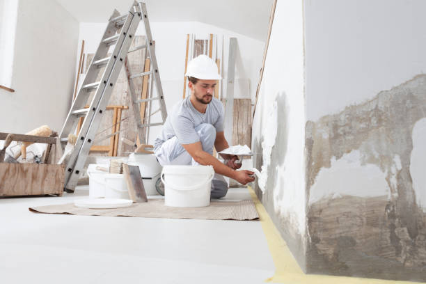 Best Black Mold Removal  in Fort Montgomery, NY
