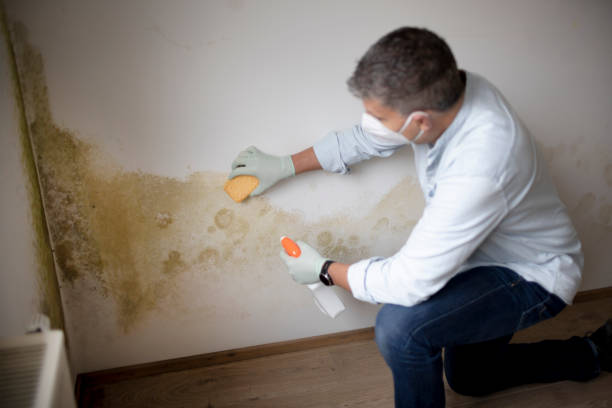 Best Airborne Mold Testing  in Fort Montgomery, NY