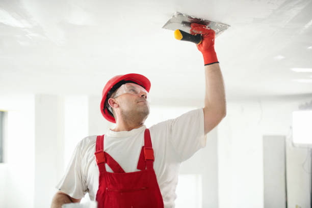 Best Mold-Related Health Consultation  in Fort Montgomery, NY