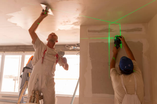Best Black Mold Removal  in Fort Montgomery, NY